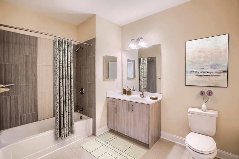 Apartments for Rent in Massachusetts 1 & 2 Bedroom Apartment Rentals